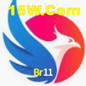 Ofertas Exclusivas Br11