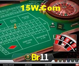 Tecnologia da Plataforma Br11